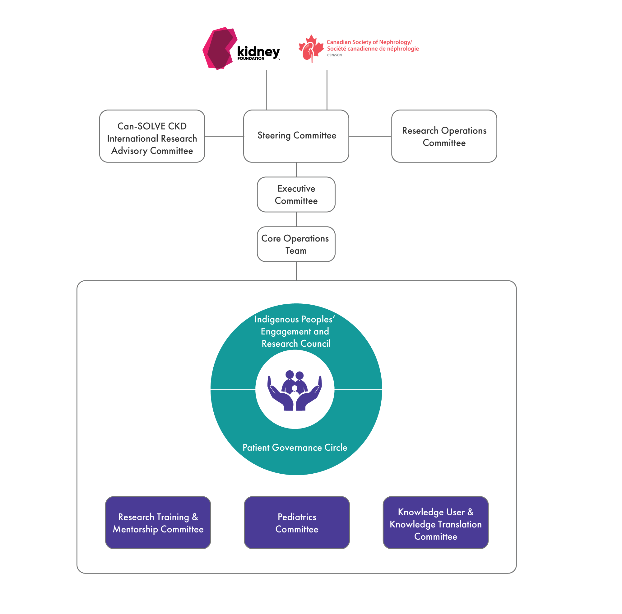 Can-SOLVE CKD Governance Structure